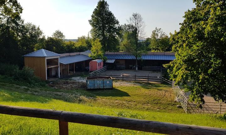 Landgasthof Waldfrieden